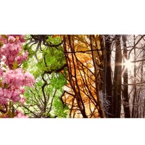 Meet your Posher, Four